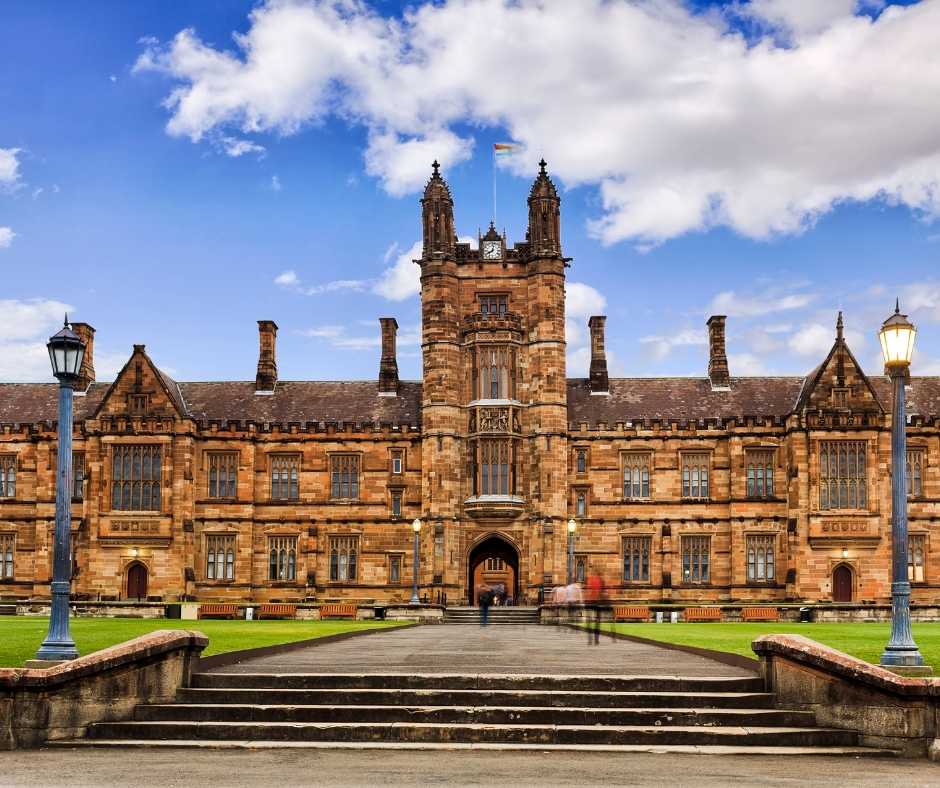 university