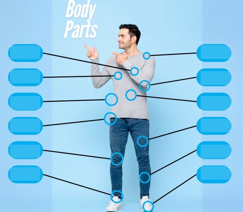 An educational diagram showing a man pointing upward with labeled lines connecting to different parts of his body for a “Body Parts” vocabulary activity.